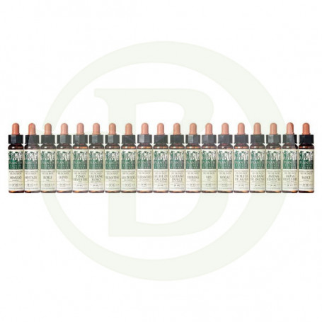 Elixir Floral 33 Nogal 10Ml. Plantis