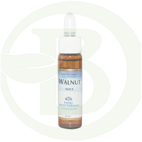 FM Walnut 10Ml. Forza Vitale