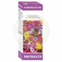 Flowers of Life Estudiantes 15Ml. Equisalud