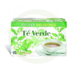 Té Verde 20 Filtros Ynsadiet