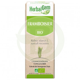 Extracto De Frambueso Bio 15Ml. Herbal Gem