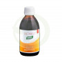 Db-Quema Redufirmante Jarabe 240Ml. Santiveri