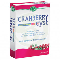 Kyste de canneberge 700Mg. Laboratoires ESI