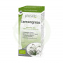 Lemongrass 10Ml. Physalis