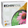 Echin Royal 20 Ampollas Cfn