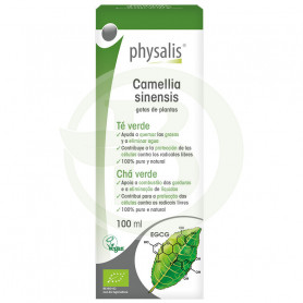 Camélia Sinensis 100Ml. Physalis