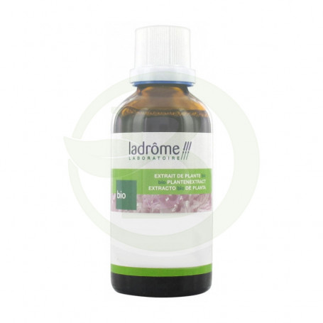 Ortie 50Ml. Ladrome