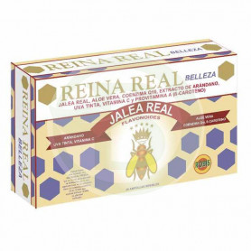 Reina Real Belleza Robis