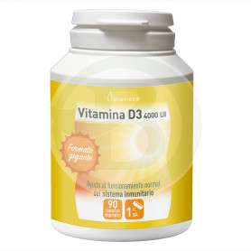 Vitamine D3 4000IU 90 Gélules Plameca