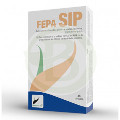 Fepa Sip 60 Gélules Fepadiet