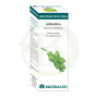 Bio Huile Essentielle Basilic 10Ml. Equisalud