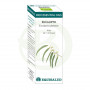 Huile Essentielle Bio Eucalyptus 10Ml. Equisalud