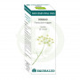 Huile Essentielle Bio Fenouil 10Ml. Equisalud