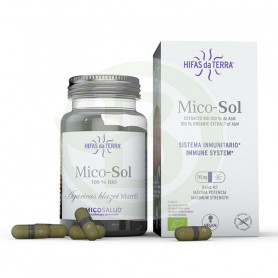 Champignon Mico Sol du Soleil Hifas da Terra