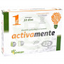 Activamente Pinisan