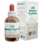 Les Sequoia Gigantea (Secoya) 50Ml. Forza Vitale