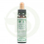 Vigne de Bach 10Ml. Santiveri