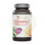 Vitanano C 1062 30 Gélules Mundo Naturel