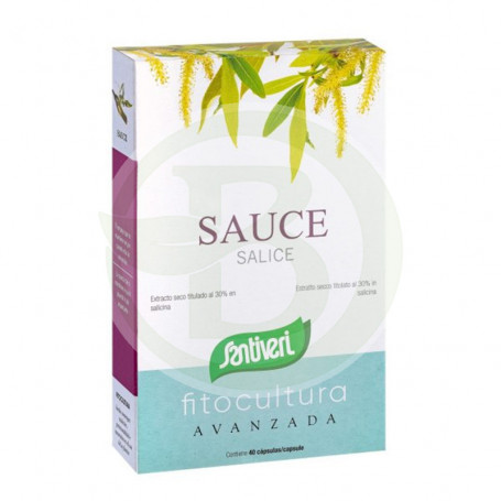 Fit Sauce Plantes 40 Gélules Santiveri