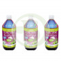 Pack 3x2 Jugo de Aloe Vera Bio 1Lt. Tongil