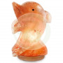 Lampe de Sel Dauphin Asfand Salts