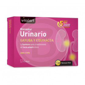 Vitalart Bien-être Urinaire 10 Sachets Vitalart