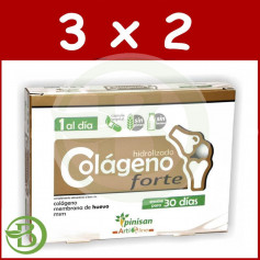 Pack 3x2 Collagène Hydrolysé Forte 60 Gélules Pinisan