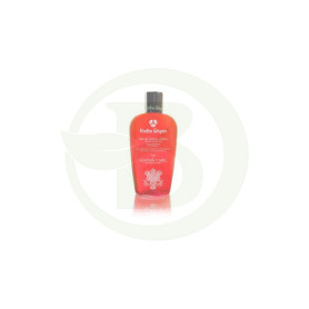 Gel Douche et Bain Safran et Miel 250Ml Radhe Shyam