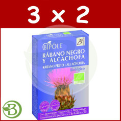 Pack 3x2 Bipole Radis Noir et Artichaut 20 Ampoules Intersa