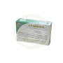 Gymnesol 38,40 G, 48 Comprimés Herboplanet