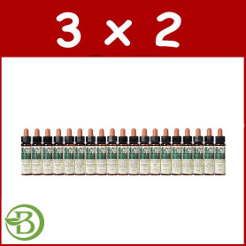 Pack 3x2 Elixir Floral 7 Chestnut Bud 10Ml. Plantis