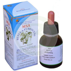 Msa Betula Pubescens Bourgeons 50 Ml Herboplanet