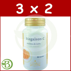 Pack 3x2 Megaleon C (Crinière de Lion) Jellybell