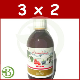 Pack 3x2 Arandina 500Ml. Jellybell