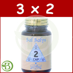 Pack 3x2 Sel Salys 2 CAP 90 Comprimés Jellybell