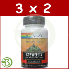 Pack 3x2 Boswellia 300Mg. 60 gélules Solaray