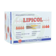 Lipicol 60 Gélules Vert Doré