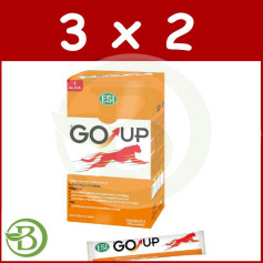 Pack 3x2 Go Up 16 Bâtons ESI