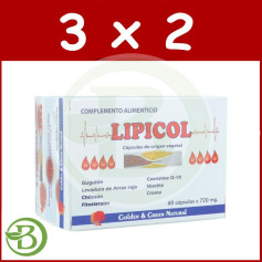 Pack 3x2 Lipicol 60 Gélules Vert Doré