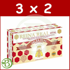 Pack 3x2 Reina Real Vital Robis