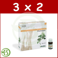 Pack 3x2 Plantaggio HB 20 Flacons Derbos