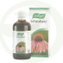 Echinaforce (Equinacea) 100Ml. Bioforce