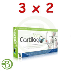 Pack 3x2 Cartilago Forte 40 Gélules Tegor