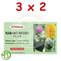 Pack 3x2 Radis Noir Plus 20 Flacons Integralia