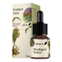 Prodigest Gouttes 50 Ml Ebers