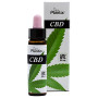 Cbd 5% Gouttes 500Mg 10 Ml Plantis