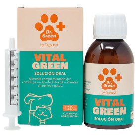 Vitalgreen Solution Buvable 120 Ml Dr Green