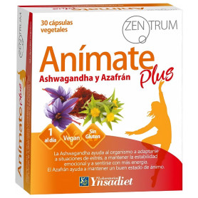 Zentrum Animate Plus 30 Gélules Ynsadiet