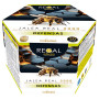 Regal Bee Defenses 20 flacons Nova Diet