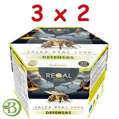 Pack 3x2 Regal Bee Defenses 20 Ampoules Nova Diet